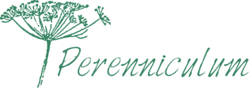 Perenniculum logo