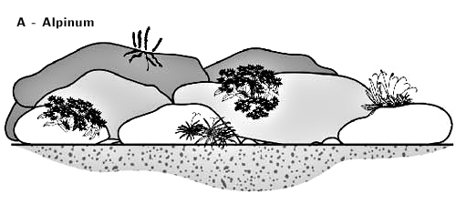 Stanovištní okruhy 7 Stanovištní okruh Alpinum