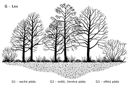 Stanovištní okruhy 1 Stanovištní okruh Les