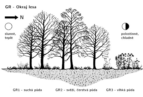 Stanovištní okruhy 2 Stanovištní okruh Okraj lesa