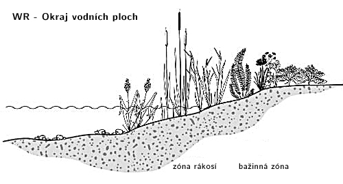 Stanovištní okruhy 9 Stanovištní okruh Okraj vodních ploch