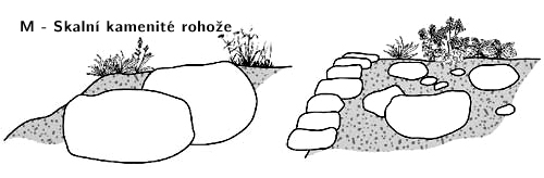 Stanovištní okruhy 6 Stanovištní okruh Skalní kamenité rohože