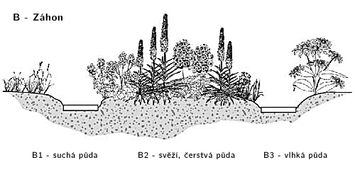 Stanovištní okruhy 8 Stanovištní okruh Záhon