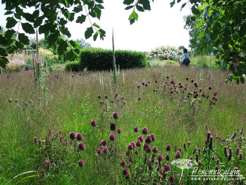 Když se potkají dva géniové... 4 Bury Court_03