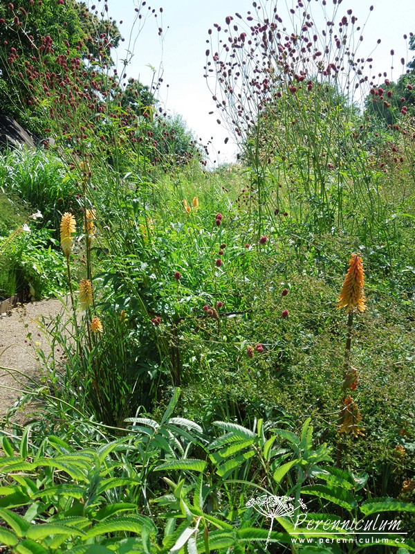 Když se potkají dva géniové... 7 Bury Court_08