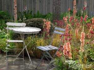 Chelsea Flower Show 2014