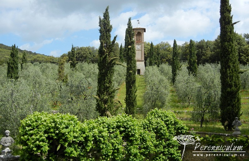 Poklad v srdci Toskánska 2 Vila Cetinale