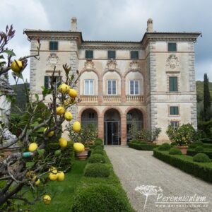 Villa Cetinale