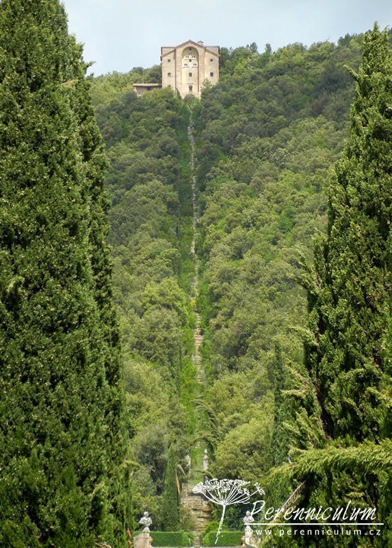 Poklad v srdci Toskánska 6 Villa Cetinale