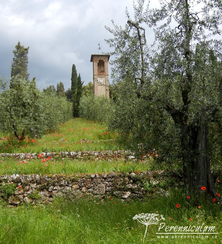 Poklad v srdci Toskánska 4 Villa Cetinale