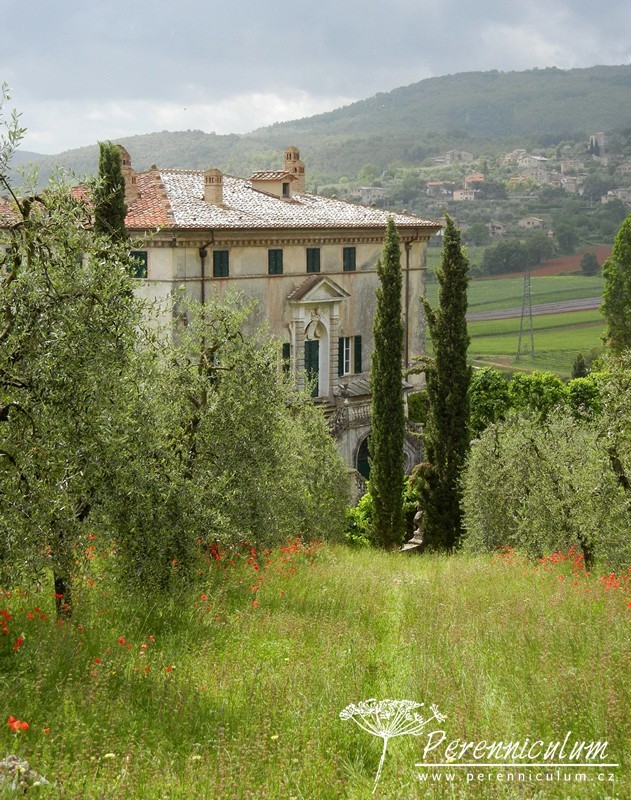 Poklad v srdci Toskánska 1 Villa Cetinale