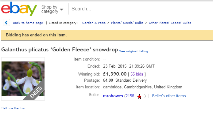 Nejdražší sněženka