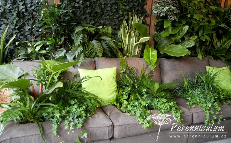 Zimní přemítání aneb vzývání jara 5 zahradníkova pohovka