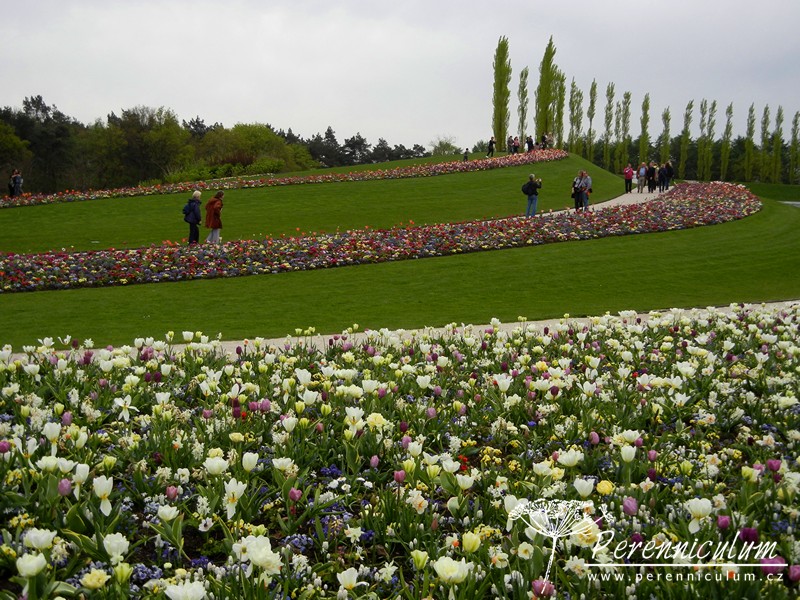 Zimní přemítání aneb vzývání jara 12 Floriade 2012, Venlo