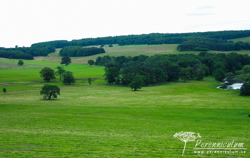 Brownovský krajinářský park s řadou trvalkových překvapení 2 Brownovský krajinářský park s řadou trvalkových překvapení
