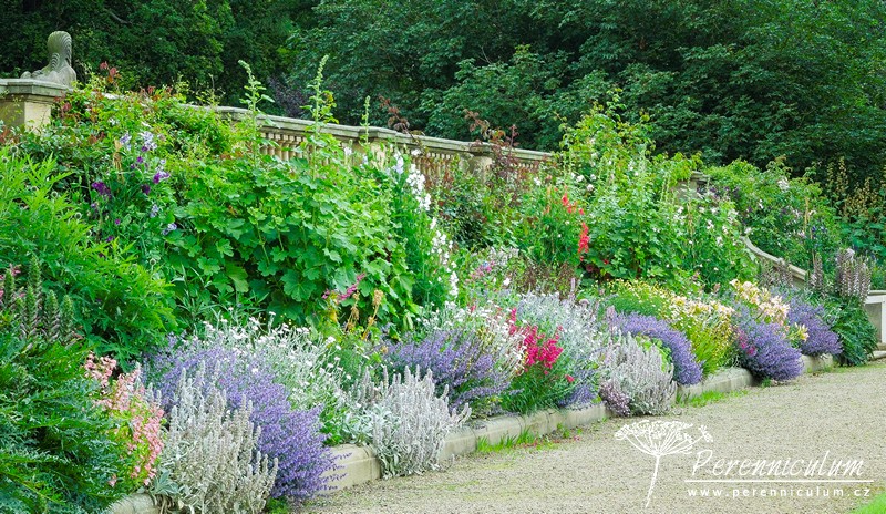 Brownovský krajinářský park s řadou trvalkových překvapení 4 Brownovský krajinářský park s řadou trvalkových překvapení 11