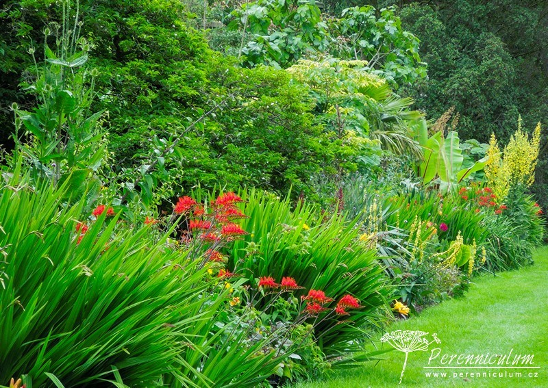 Brownovský krajinářský park s řadou trvalkových překvapení 8 Brownovský krajinářský park s řadou trvalkových překvapení 15