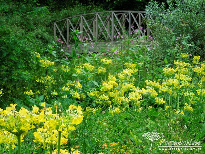 Brownovský krajinářský park s řadou trvalkových překvapení 11 Brownovský krajinářský park s řadou trvalkových překvapení 20