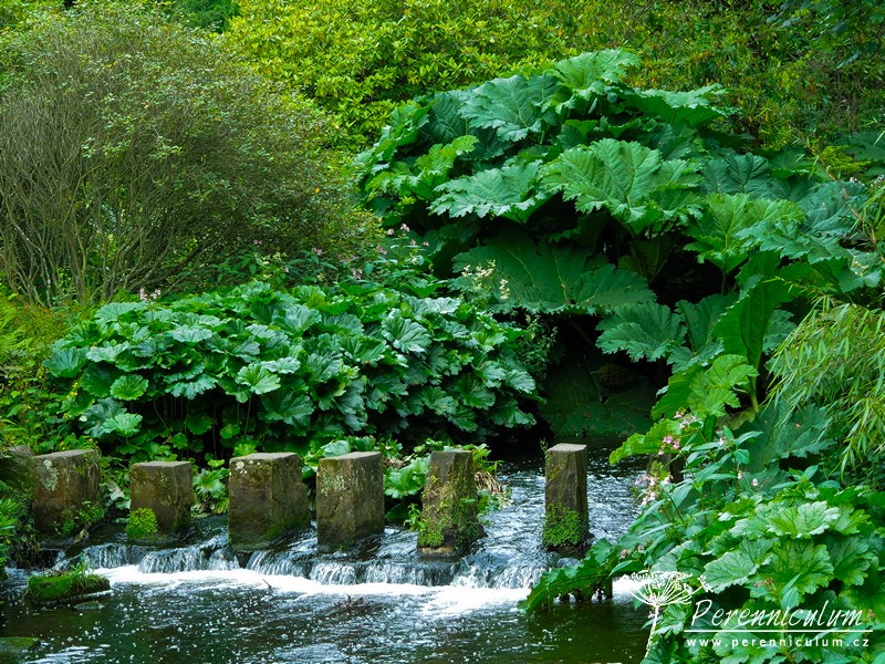 Brownovský krajinářský park s řadou trvalkových překvapení 12 Brownovský krajinářský park s řadou trvalkových překvapení 23