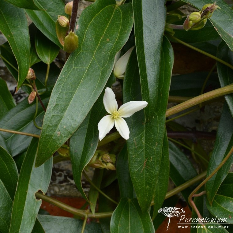 Veselé Velikonoce a barevné jarní dny 8 Veselé Velikonoce a barevné jarní dny_