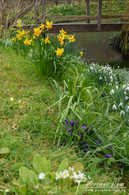 Veselé Velikonoce a barevné jarní dny 6 Veselé Velikonoce a barevné jarní dny
