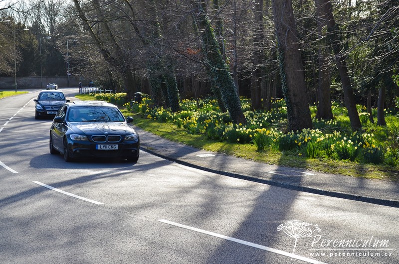 Veselé Velikonoce a barevné jarní dny 33 Veselé Velikonoce a barevné jarní dny