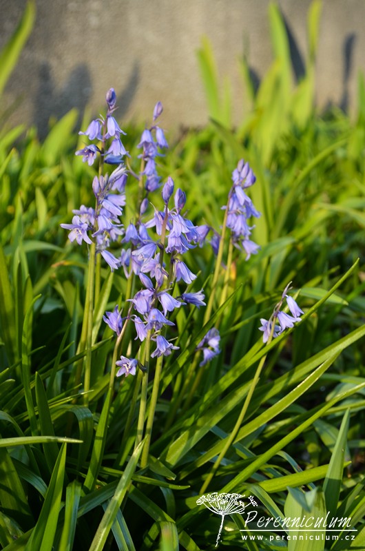 Veselé Velikonoce a barevné jarní dny 3 Veselé Velikonoce a barevné jarní dny 47