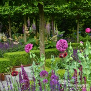 RHS Chelsea Flower Show 2016