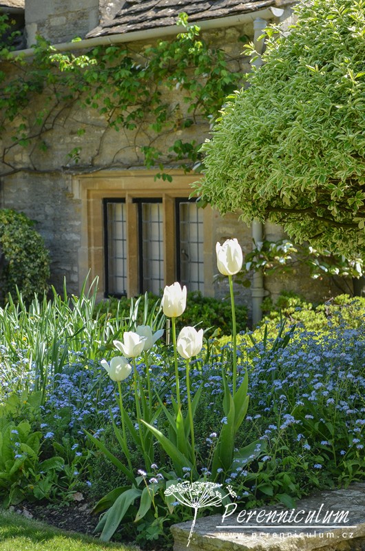Zahrady Rosemary Verey - Barnsley House a Little House 16 Zahrady Rosemary Verey-Little House