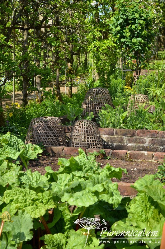Zahrady Rosemary Verey - Barnsley House a Little House 18 Zahrady Rosemary Verey-Little House