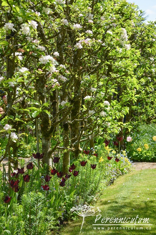 Zahrady Rosemary Verey - Barnsley House a Little House 19 Zahrady Rosemary Verey-Little House