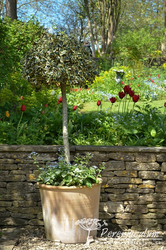 Zahrady Rosemary Verey - Barnsley House a Little House 13 Zahrady Rosemary Verey-Little House