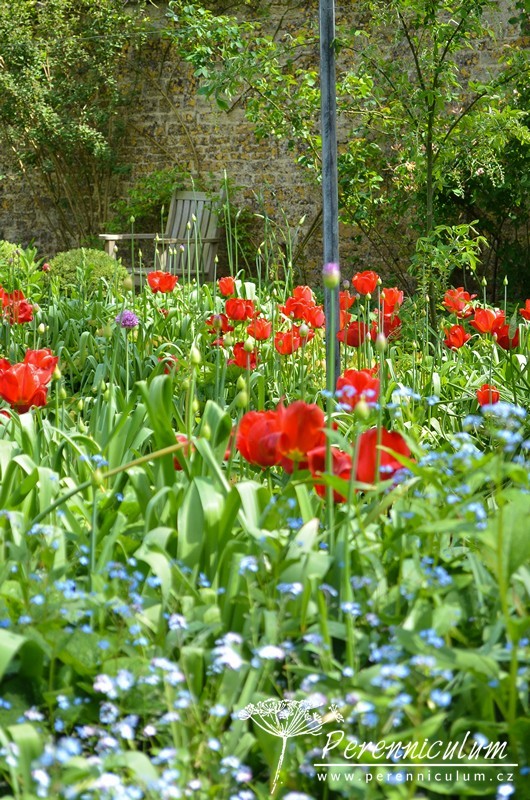 Zahrady Rosemary Verey - Barnsley House a Little House 3 Zahrady Rosemary Verey - Barnsley House