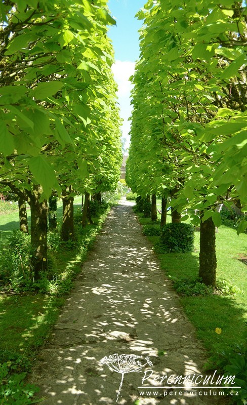 Zahrady Rosemary Verey - Barnsley House a Little House 4 Zahrady Rosemary Verey - Barnsley House