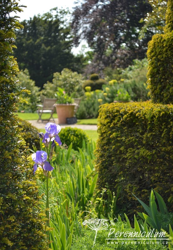 Zahrada v harmonii s okolní krajinou 2 Hanham Court 05