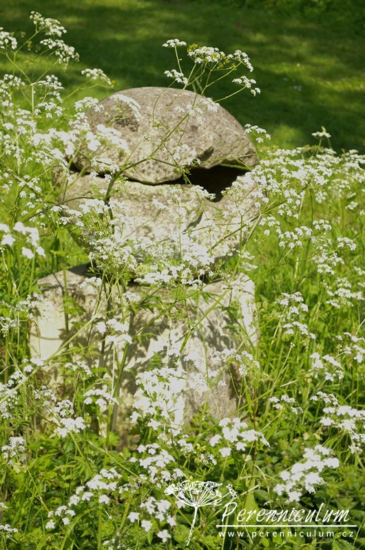 Zahrada v harmonii s okolní krajinou 15 Kamenná skulptura v jemném hávu miříkovitých, bílých květů.