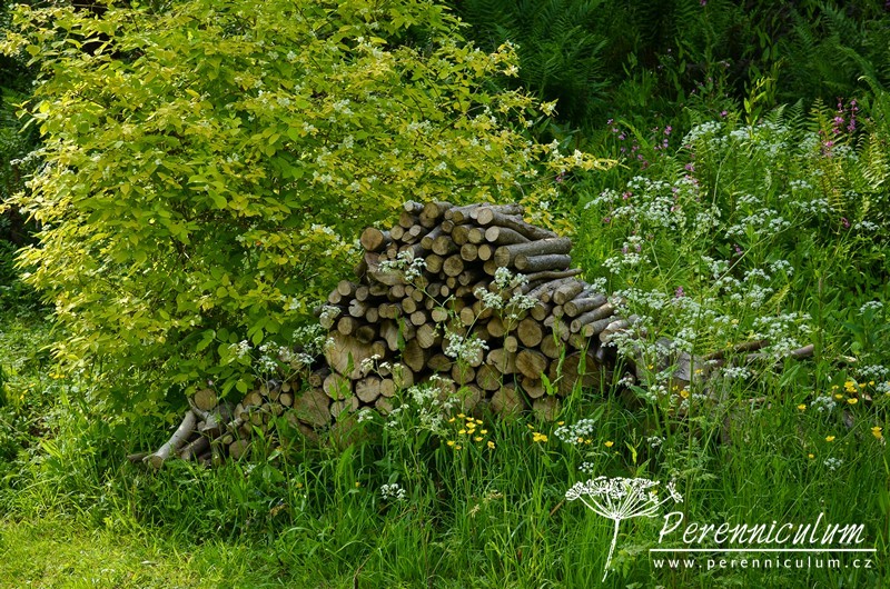 Zahrada v harmonii s okolní krajinou 13 Dřevo z pokácených stromů ponechané asi pro broučky.