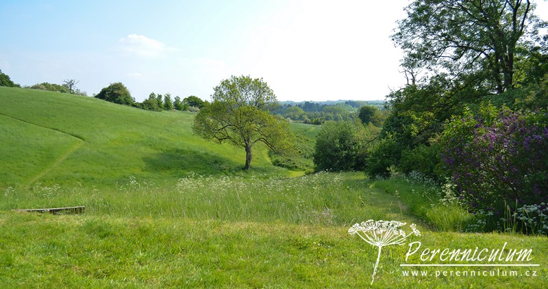Zahrada v harmonii s okolní krajinou 5 Výhled přes květnatou louku, která patří majitelům zahrady, do daleké údolní krajiny.