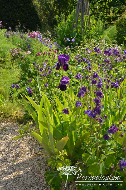 Zahrada v harmonii s okolní krajinou 17 Hanham Court 29