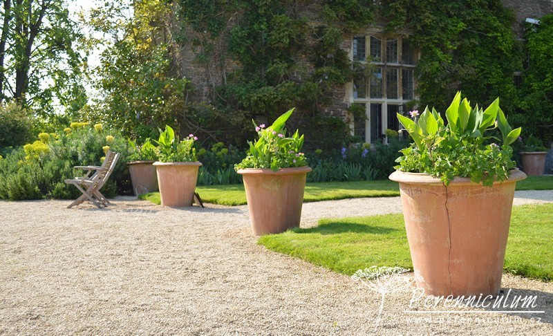 Zahrada v harmonii s okolní krajinou 20 Hanham Court byl jako ráj na zemi uprostřed klidného anglického venkova.