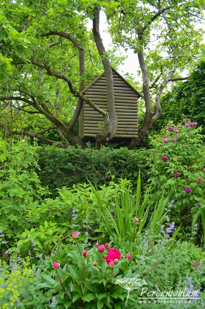 Příběh zahrady v Doyntonu 28 Zahrada skrývá i domek na stromě.