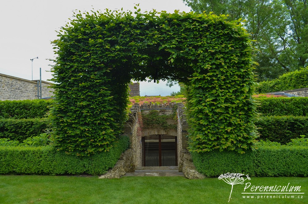 Příběh zahrady v Doyntonu 14 The Old Rectory Doynton 50