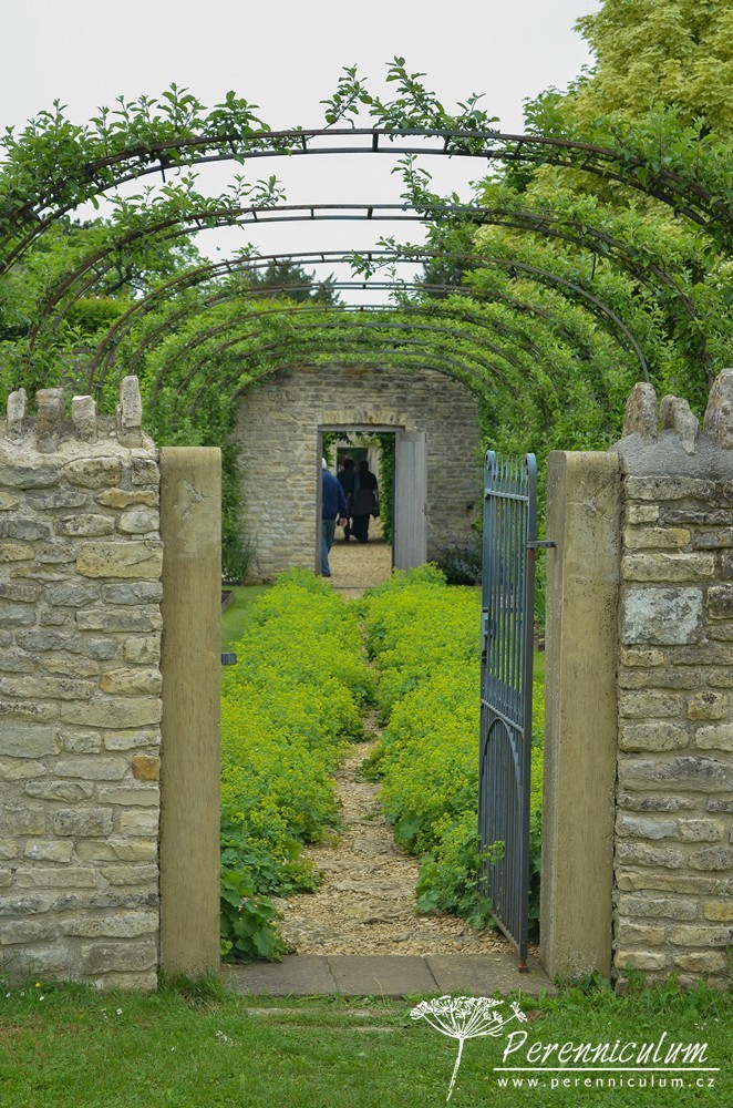 Příběh zahrady v Doyntonu 21 Pohled z louky zpět přes zeleninovou/kuchyňskou zahradu s tvarovanými jabloněmi.