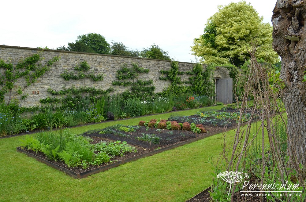 Příběh zahrady v Doyntonu 23 Rozsáhlá zeleninová zahrada.