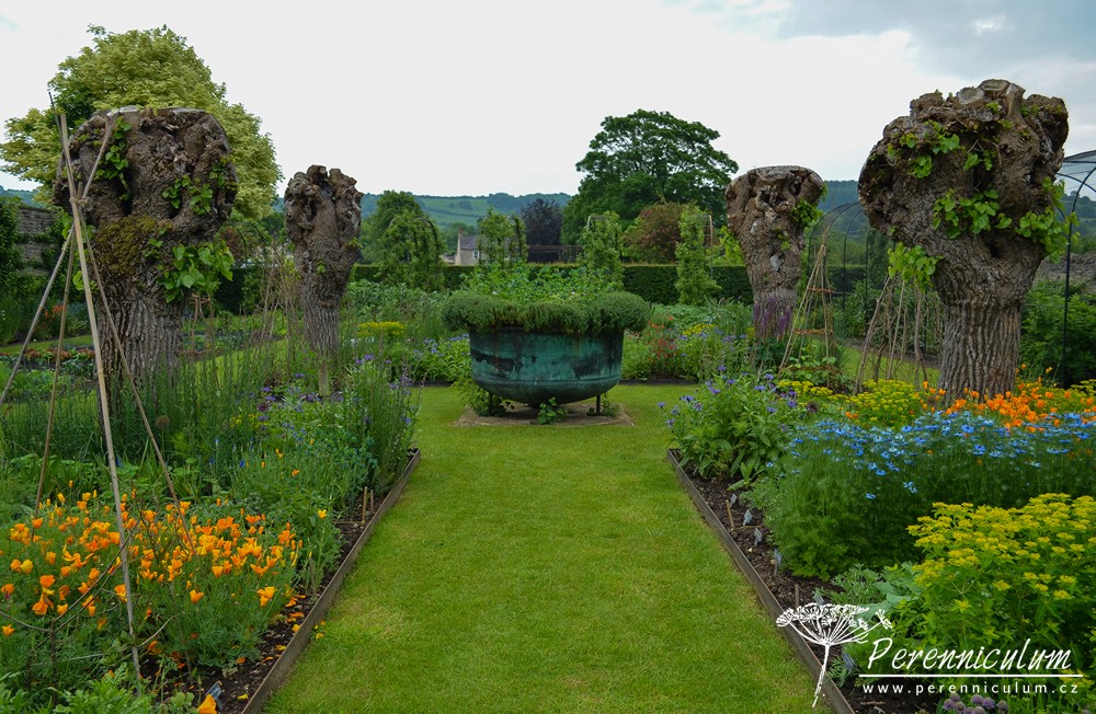 Příběh zahrady v Doyntonu 26 Celkový pohled na zeleninovou zahradu se čtyřmi starými morušemi střihanými na babku.