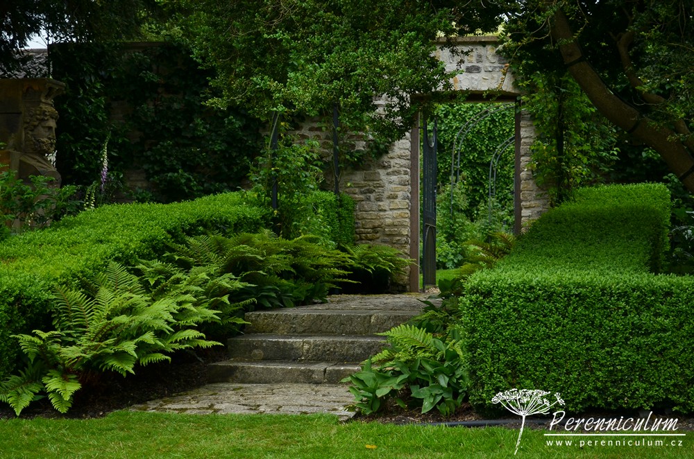 Příběh zahrady v Doyntonu 29 Jedno ze zelených zákoutí s bustou vlevo u dveří vedoucích z Croque Lawn do Růžové zahrady.