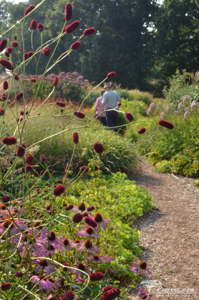 Úzké chodníčky vnitrem záhonů nabízí zajímavé perspektivy.
