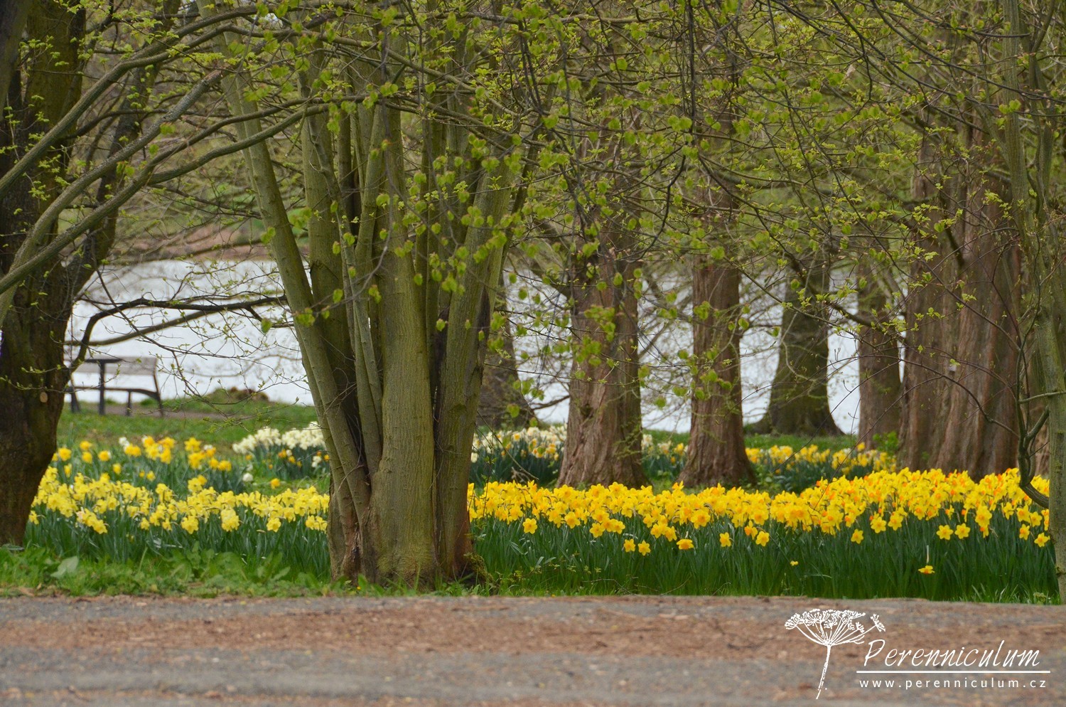 V dendrologické zahradě nejsou jen zajímavé stromy 1 Dendrologická zahrada 06