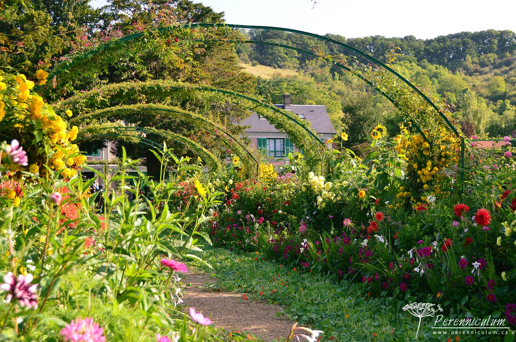 Le Jardin Plume - venkovské kouzlo s podtónem francouzské formální zahrady 1 Původní část Monetovy zahrady s výsadbami, které hýří barvami.