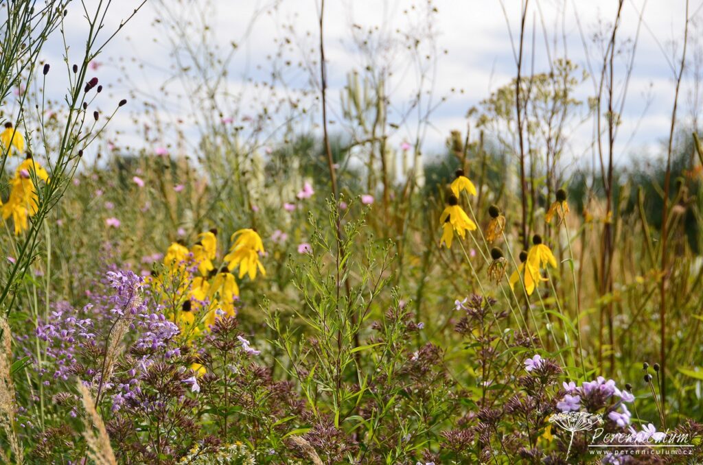 Le Jardin Plume - venkovské kouzlo s podtónem francouzské formální zahrady 7 Le Jardin Plume 09